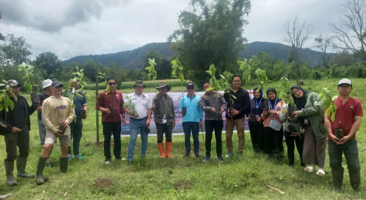 Ribuan Pohon Ditanam di Bukit Kasih, Senator Stefa Wujudkan Green Democracy Bersama Warga Desa